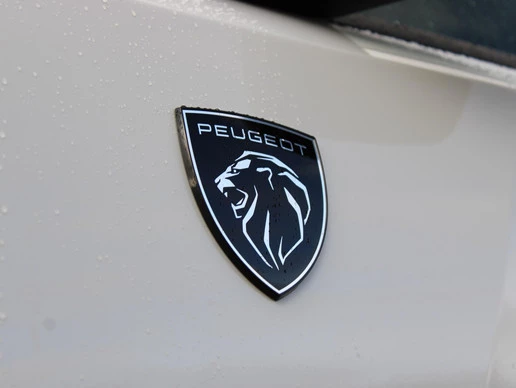 Peugeot 408 - Afbeelding 17 van 27