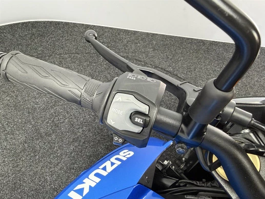 Suzuki GSX - Afbeelding 18 van 20