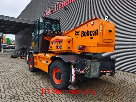 Bobcat  - Afbeelding 6 van 16