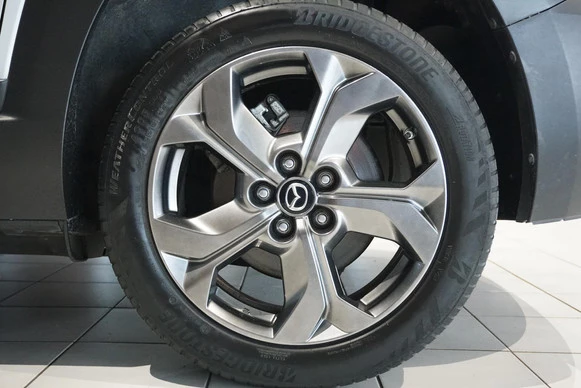 Mazda MX-30 - Afbeelding 14 van 30