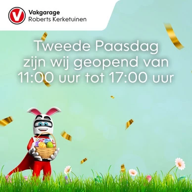 MG Marvel R - Afbeelding 2 van 30