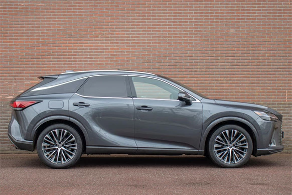 Lexus RX - Afbeelding 20 van 30