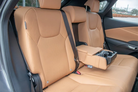 Lexus RX - Afbeelding 24 van 30
