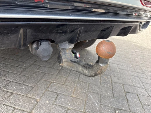 Hongqi E-HS9 - Afbeelding 10 van 30