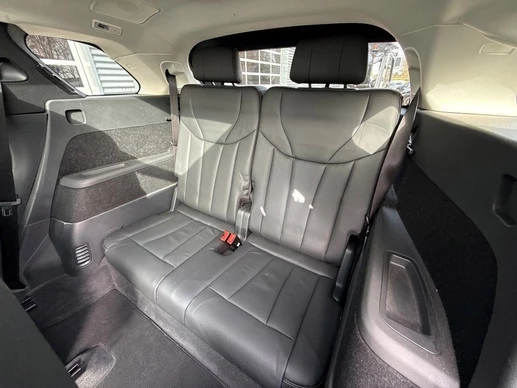 Hongqi E-HS9 - Afbeelding 12 van 30