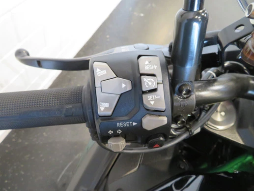 Kawasaki Z H2 - Afbeelding 13 van 16