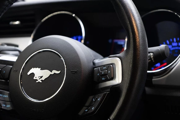 Ford Mustang - Afbeelding 13 van 29