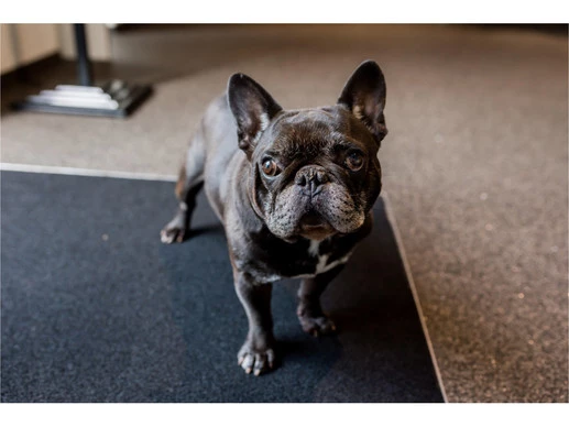 Mazda CX-30 - Afbeelding 24 van 30