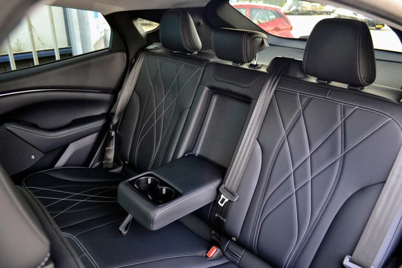 Ford Mustang Mach-E - Afbeelding 10 van 30