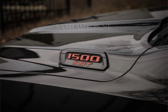 Dodge Ram Pick-Up - Afbeelding 28 van 30