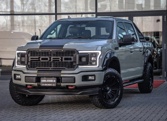 Ford F-150 - Afbeelding 1 van 30