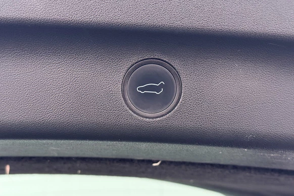 Tesla Model Y - Afbeelding 13 van 29