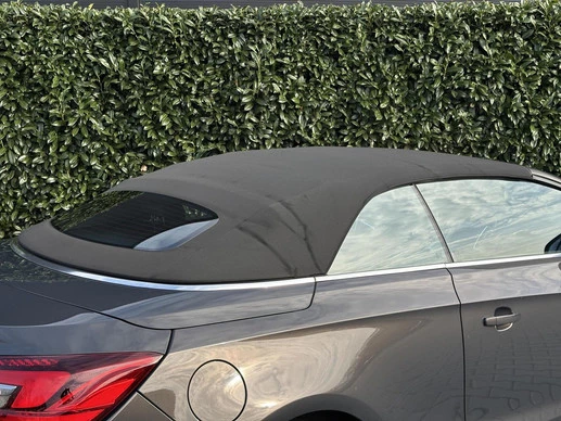 Opel Cascada - Afbeelding 29 van 30