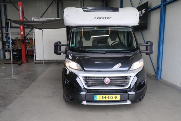 McLouis Forster T 738 EB - Afbeelding 5 van 30