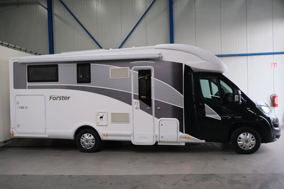 McLouis Forster T 738 EB - Afbeelding 7 van 30