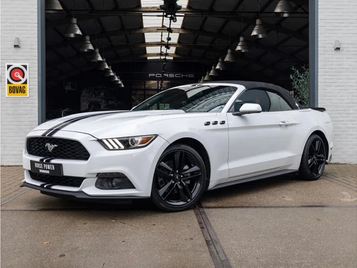 Ford Mustang - Afbeelding 4 van 30