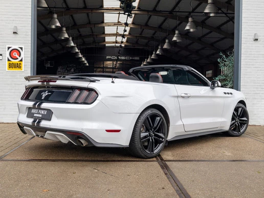 Ford Mustang - Afbeelding 7 van 30