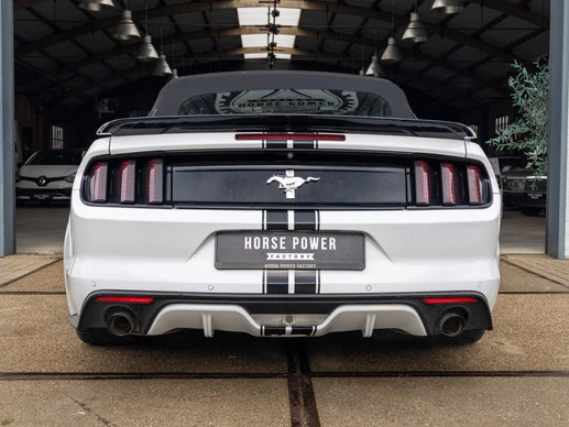 Ford Mustang - Afbeelding 11 van 30