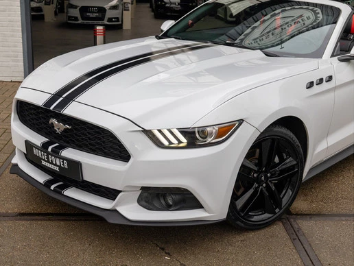 Ford Mustang - Afbeelding 12 van 30