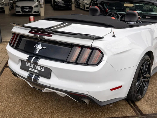 Ford Mustang - Afbeelding 13 van 30