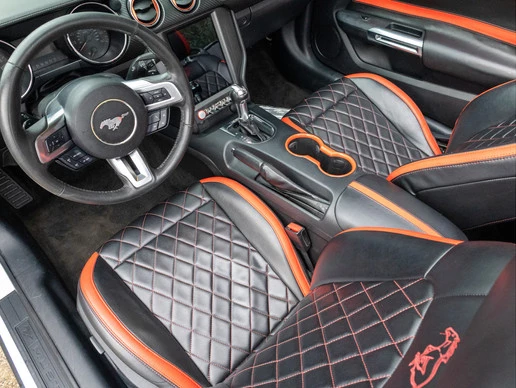 Ford Mustang - Afbeelding 18 van 30