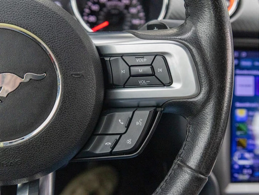 Ford Mustang - Afbeelding 24 van 30