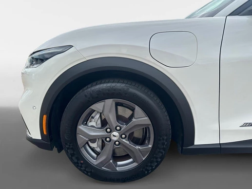 Ford Mustang Mach-E - Afbeelding 16 van 30