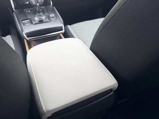 Mazda MX-30 - Afbeelding 24 van 30