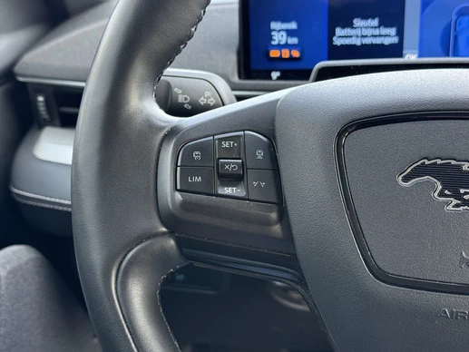 Ford Mustang Mach-E - Afbeelding 10 van 30