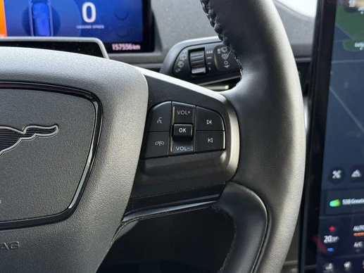 Ford Mustang Mach-E - Afbeelding 12 van 30