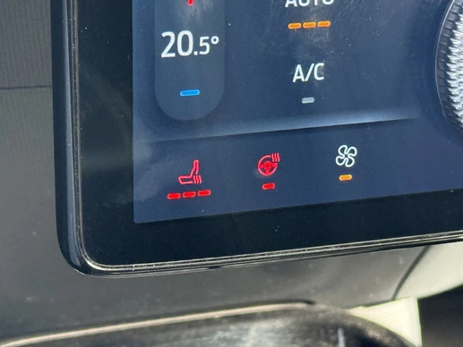 Ford Mustang Mach-E - Afbeelding 16 van 30