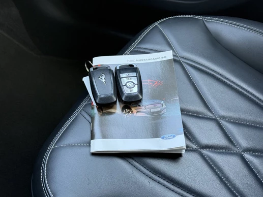 Ford Mustang Mach-E - Afbeelding 22 van 30