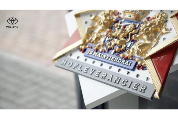 Toyota Urban Cruiser - Afbeelding 18 van 30