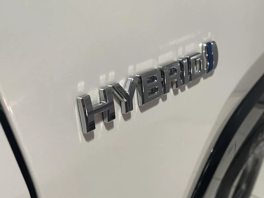 Toyota RAV4 - Afbeelding 18 van 30