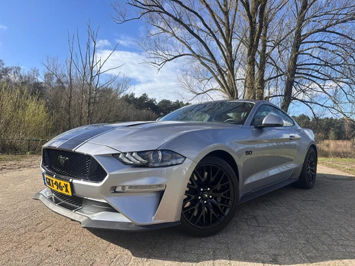 Ford Mustang - Afbeelding 1 van 11