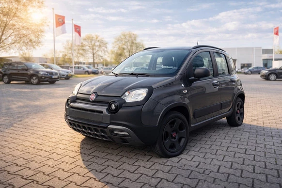 Fiat Panda - Afbeelding 1 van 23
