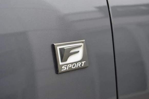 Lexus RX - Afbeelding 10 van 30