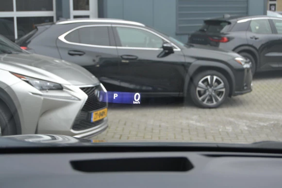 Lexus RX - Afbeelding 19 van 30