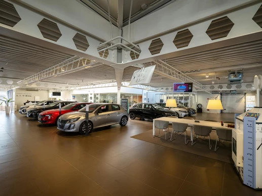 Citroën ë-C4 - Afbeelding 10 van 11