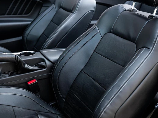 Ford Mustang - Afbeelding 29 van 30