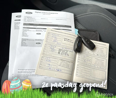 Ford Grand C-Max - Afbeelding 13 van 30