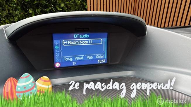 Ford Grand C-Max - Afbeelding 18 van 30