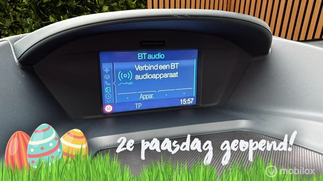 Ford Grand C-Max - Afbeelding 21 van 30