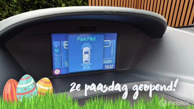 Ford Grand C-Max - Afbeelding 22 van 30