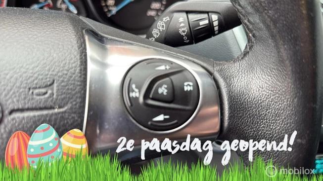 Ford Grand C-Max - Afbeelding 29 van 30