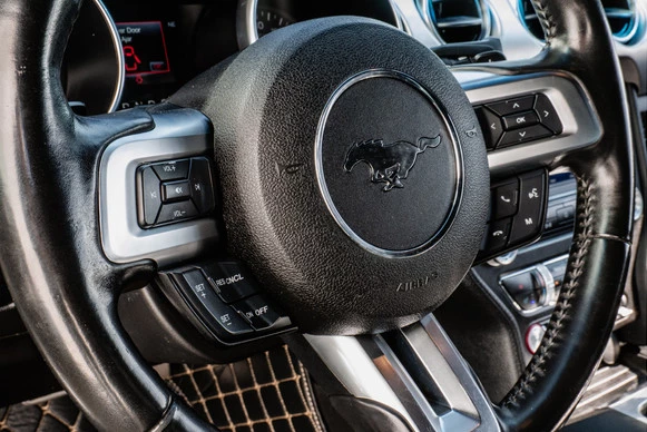 Ford Mustang - Afbeelding 23 van 30