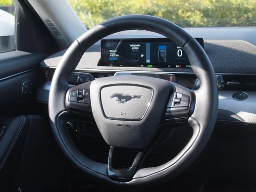 Ford Mustang Mach-E - Afbeelding 15 van 30