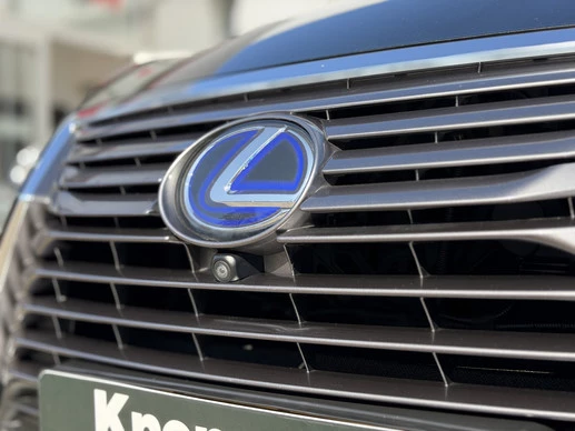 Lexus RX - Afbeelding 10 van 30