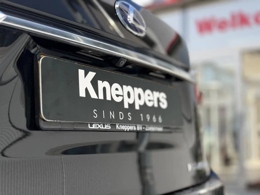 Lexus RX - Afbeelding 15 van 30