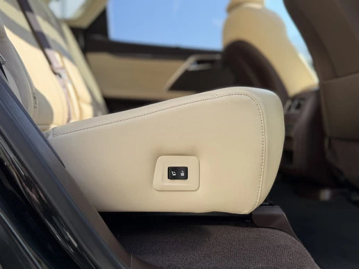 Lexus RX - Afbeelding 21 van 30